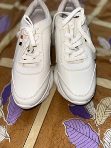 FILA Brand New shoes