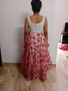 Organza Skirt And Top