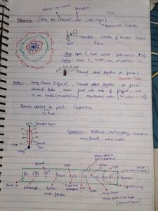 Class 11th Bio Toppers Batch Notes