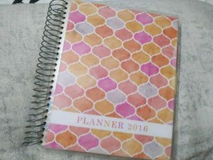 aesthetic planner unused