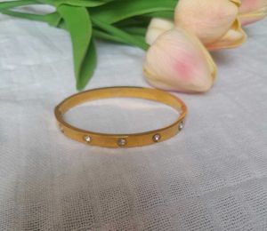 Cartier Love Bracelet (Anti Tarnish)