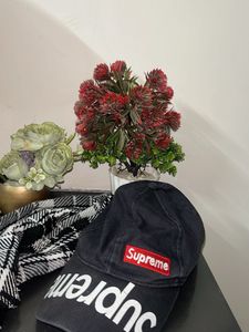 Supreme Hat and a mufler combo