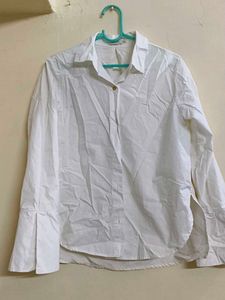 White Button Down Shirt
