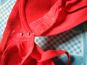 Red Crop Top
