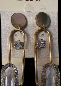Fancy Gold Earrings
