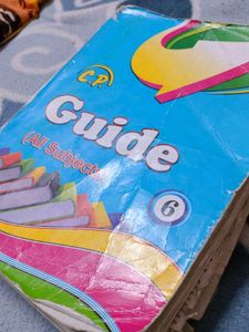 6th Class Guide (C.P)  All Subjects