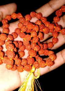 Rudraksha Mala