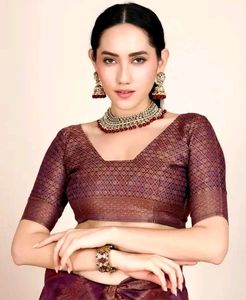 Organza Saree Party Were