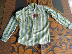 Striped Green Shirt