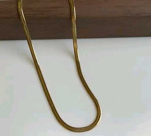 Trendy Snake Chain