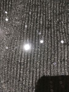 Shimmering Blouse For Women