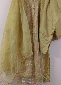 Beautiful Organza Pakistani Suit👗