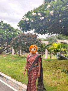 Pure Silk Ikkat Saree