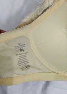 Non Wired Paded Bra For Women