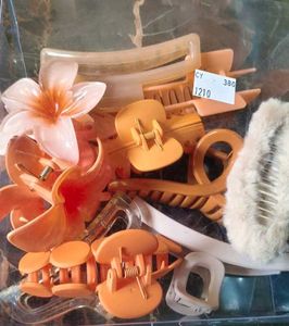 Hair Clip Bundle( Pack Of 10)