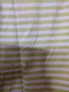 White With Green Stripes Women Tshirt
