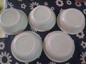 5 Plastic Bowls And A Tray