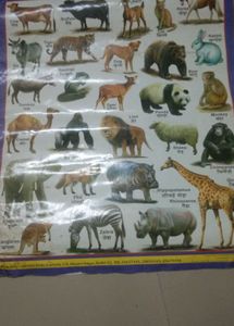 Hindi Varnamala, Vegetables Fruits Animals Chart