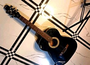 Acoustic Guitar