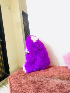 Purple Teddy Bear