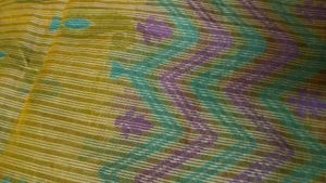Elegant Saree