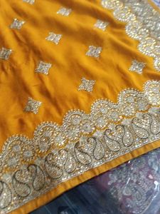 Elegant Embellished Saree