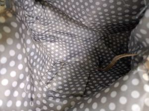 Kipling Authentic