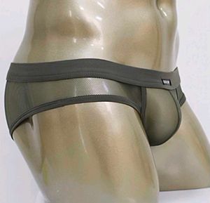 Mesh see through Briefs