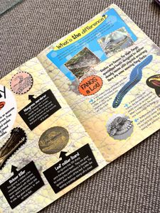 Kids Animal Book Set