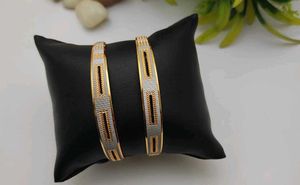 Gold & Silver Bangle Set