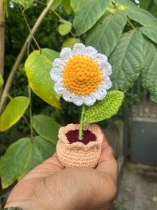 Crochet Daisy in Pot