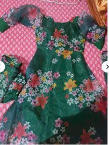 Organza Suit With Pant And Dupatta