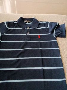 Ralph Lauren Polo Collar blue stripe t-shirt