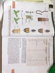 BIOLOGY class 12th NCERT book