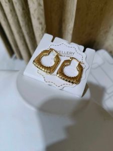 Elegant Drop Earrings