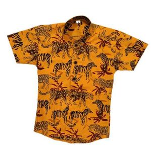 Boys Shirts