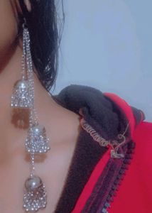 Gorgeous Earrings