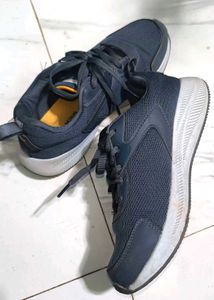Campus Running &amp; Sport Shoes For Women (Grey, 4.5)