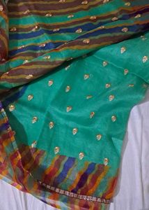Green Embellished Saree