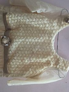A Cream Coloured ,Net Material Gown