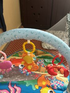 Only 500-Baby Beds