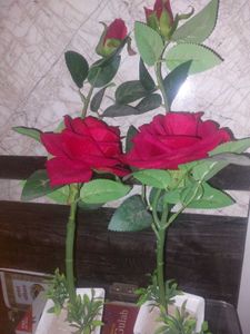 2 Piece- Artificial ROSE 🌹 PLANTS