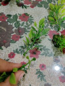 Plastic Grasses And Plants