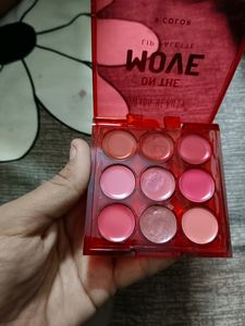Swiss Beauty NUDE Lip Pallet