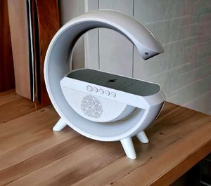 Portable Google Wireless Speaker