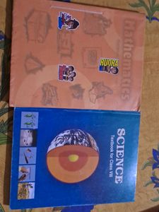 Ncert Class 8 Science And Mathematics