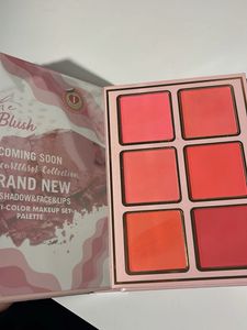 PL Primelook Eyeshadow &amp; Face Palette