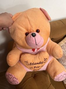Teddy