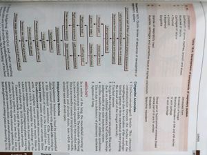 BD Chaurasia Anatomy Volume 1 And 2  Textbook
