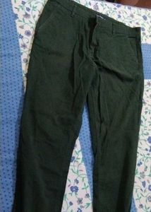 Green Casual Pants